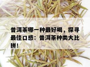 普洱茶哪一种更好喝，探寻更佳口感：普洱茶种类大比拼！