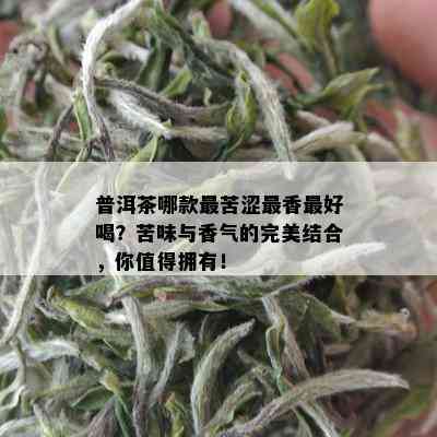 普洱茶哪款最苦涩最香更好喝？苦味与香气的完美结合，你值得拥有！