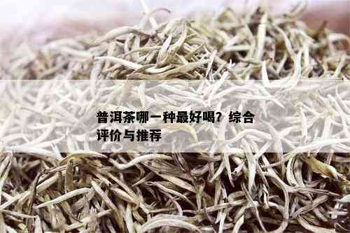 普洱茶哪一种更好喝？综合评价与推荐