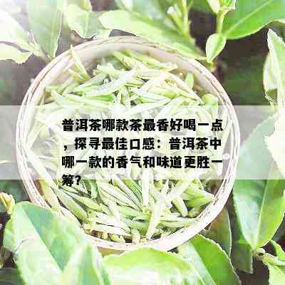 普洱茶哪款茶最香好喝一点，探寻更佳口感：普洱茶中哪一款的香气和味道更胜一筹？