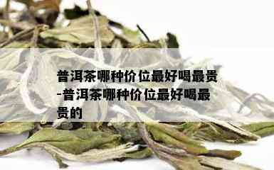 普洱茶哪种价位更好喝最贵-普洱茶哪种价位更好喝最贵的