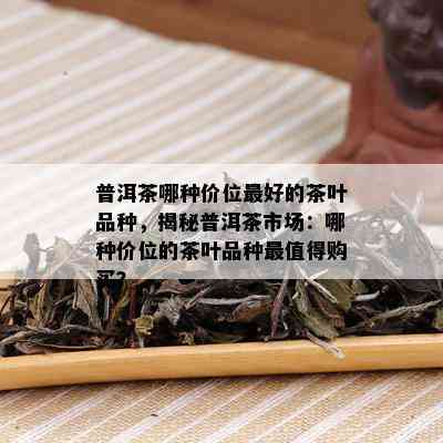 普洱茶哪种价位更好的茶叶品种，揭秘普洱茶市场：哪种价位的茶叶品种最值得购买？