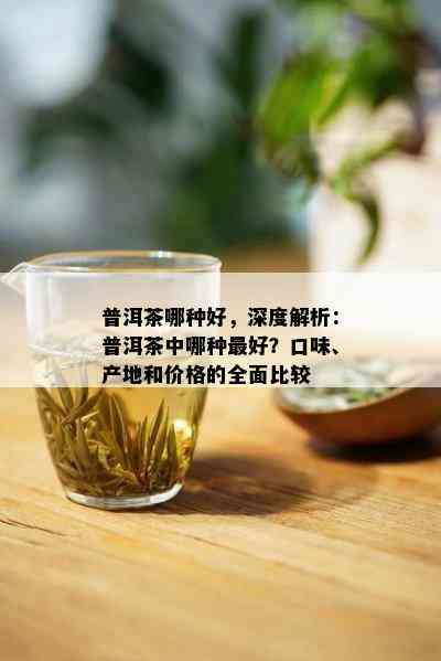 普洱茶哪种好，深度解析：普洱茶中哪种更好？口味、产地和价格的全面比较