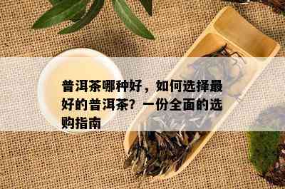 普洱茶哪种好，如何选择更好的普洱茶？一份全面的选购指南