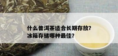 什么普洱茶适合长期存放？冰箱存储哪种更佳？