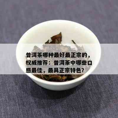 普洱茶哪种更好最正宗的，权威推荐：普洱茶中哪些口感更佳，更具正宗特色？