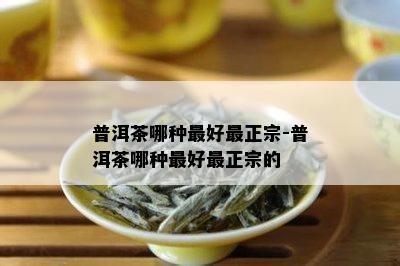 普洱茶哪种更好最正宗-普洱茶哪种更好最正宗的