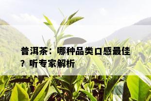 普洱茶：哪种品类口感更佳？听专家解析