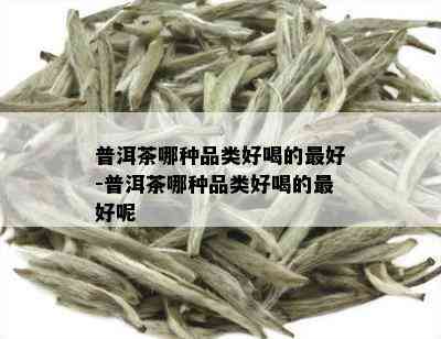 普洱茶哪种品类好喝的更好-普洱茶哪种品类好喝的更好呢