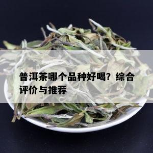 普洱茶哪个品种好喝？综合评价与推荐