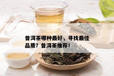 普洱茶哪种更好，寻找更佳品质？普洱茶推荐！