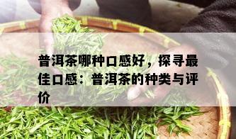 普洱茶哪种口感好，探寻更佳口感：普洱茶的种类与评价