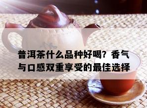 普洱茶什么品种好喝？香气与口感双重享受的更佳选择