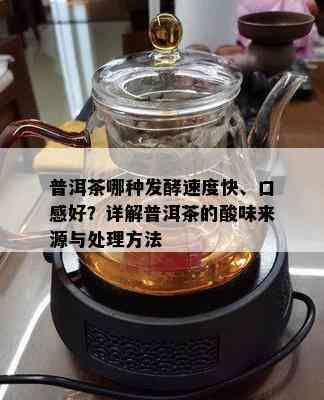 普洱茶哪种发酵速度快、口感好？详解普洱茶的酸味来源与处理方法