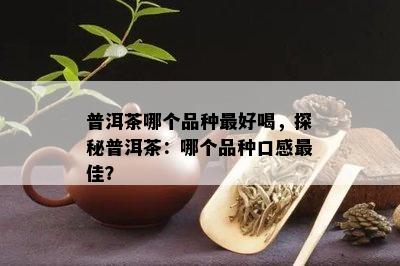 普洱茶哪个品种更好喝，探秘普洱茶：哪个品种口感更佳？