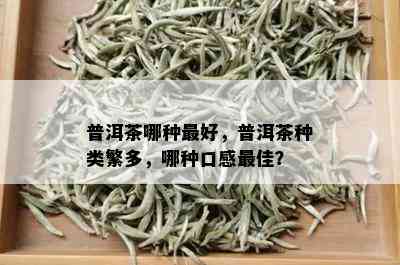 普洱茶哪种更好，普洱茶种类繁多，哪种口感更佳？