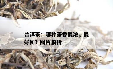 普洱茶：哪种茶香最浓，更好闻？图片解析