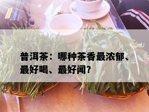 普洱茶：哪种茶香最浓郁、更好喝、更好闻？