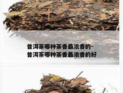 普洱茶哪种茶香最浓香的-普洱茶哪种茶香最浓香的好