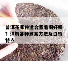 普洱茶哪种适合煮着喝好喝？详解各种煮茶方法及口感特点