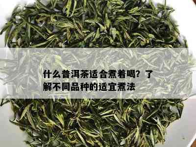 什么普洱茶适合煮着喝？了解不同品种的适宜煮法