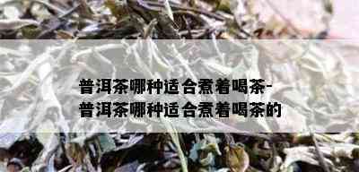 普洱茶哪种适合煮着喝茶-普洱茶哪种适合煮着喝茶的