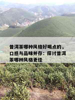 普洱茶哪种风格好喝点的，口感与品味并存：探讨普洱茶哪种风格更佳