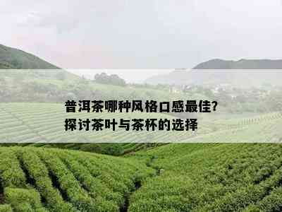 普洱茶哪种风格口感更佳？探讨茶叶与茶杯的选择