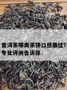 普洱茶哪类茶饼口感更佳？专业评测告诉你