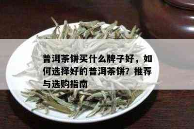 普洱茶饼买什么牌子好，如何选择好的普洱茶饼？推荐与选购指南