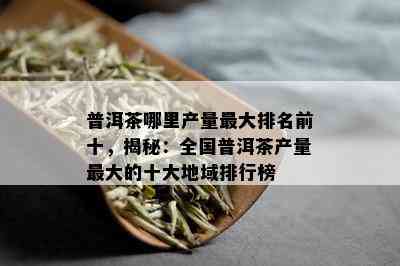 普洱茶哪里产量更大排名前十，揭秘：全国普洱茶产量更大的十大地域排行榜