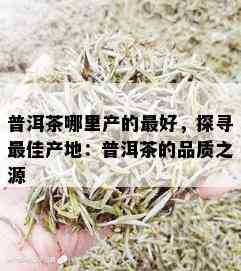 普洱茶哪里产的更好，探寻更佳产地：普洱茶的品质之源