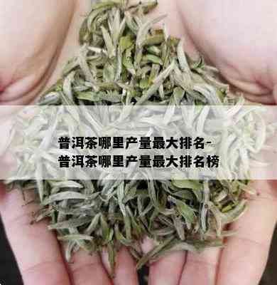 普洱茶哪里产量更大排名-普洱茶哪里产量更大排名榜