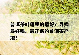 普洱茶叶哪里的更好？寻找更好喝、最正宗的普洱茶产地！