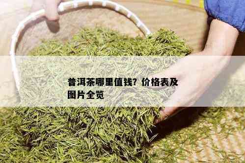 普洱茶哪里值钱？价格表及图片全览