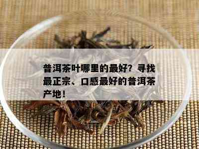 普洱茶叶哪里的更好？寻找最正宗、口感更好的普洱茶产地！