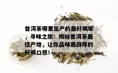 普洱茶哪里出产的更好喝呢，寻味之旅：揭秘普洱茶更佳产地，让你品味最醇厚的好喝口感！