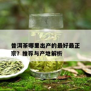 普洱茶哪里出产的更好最正宗？推荐与产地解析