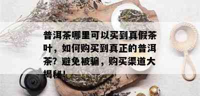 普洱茶哪里可以买到真假茶叶，如何购买到真正的普洱茶？避免被骗，购买渠道大揭秘！