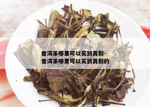 普洱茶哪里可以买到真假-普洱茶哪里可以买到真假的