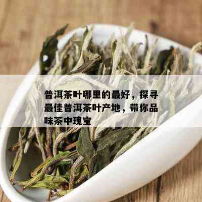 普洱茶叶哪里的更好，探寻更佳普洱茶叶产地，带你品味茶中瑰宝