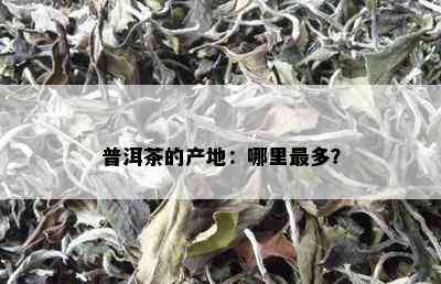 普洱茶的产地：哪里最多？