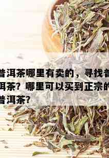 普洱茶哪里有卖的，寻找普洱茶？哪里可以买到正宗的普洱茶？