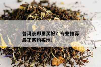 普洱茶哪里买好？专业推荐最正宗购买地！