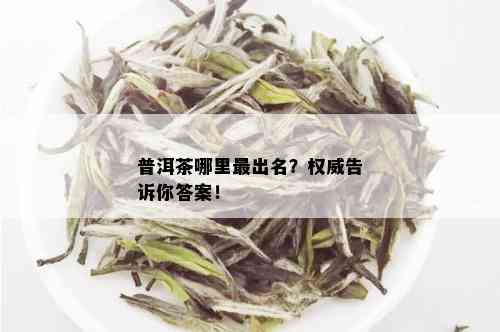 普洱茶哪里最出名？权威告诉你答案！