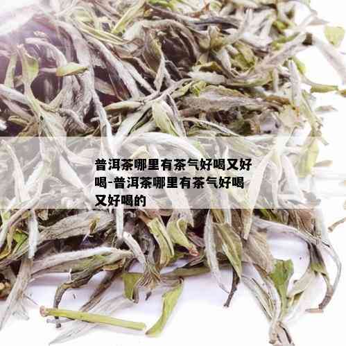 普洱茶哪里有茶气好喝又好喝-普洱茶哪里有茶气好喝又好喝的