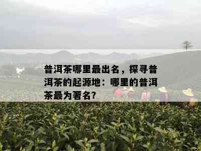 普洱茶哪里最出名，探寻普洱茶的起源地：哪里的普洱茶最为著名？