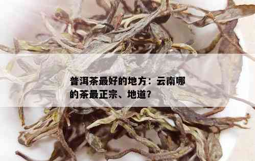 普洱茶更好的地方：云南哪的茶最正宗、地道？