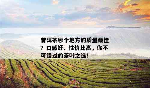 普洱茶哪个地方的质量更佳？口感好、性价比高，你不可错过的茶叶之选！