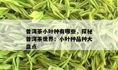 普洱茶小叶种有哪些，探秘普洱茶世界：小叶种品种大盘点